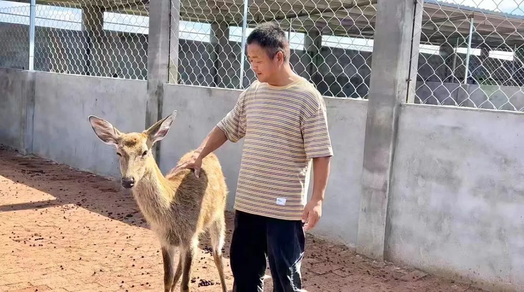 u乐官网平台